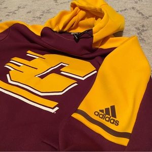 Central Michigan University hoodie